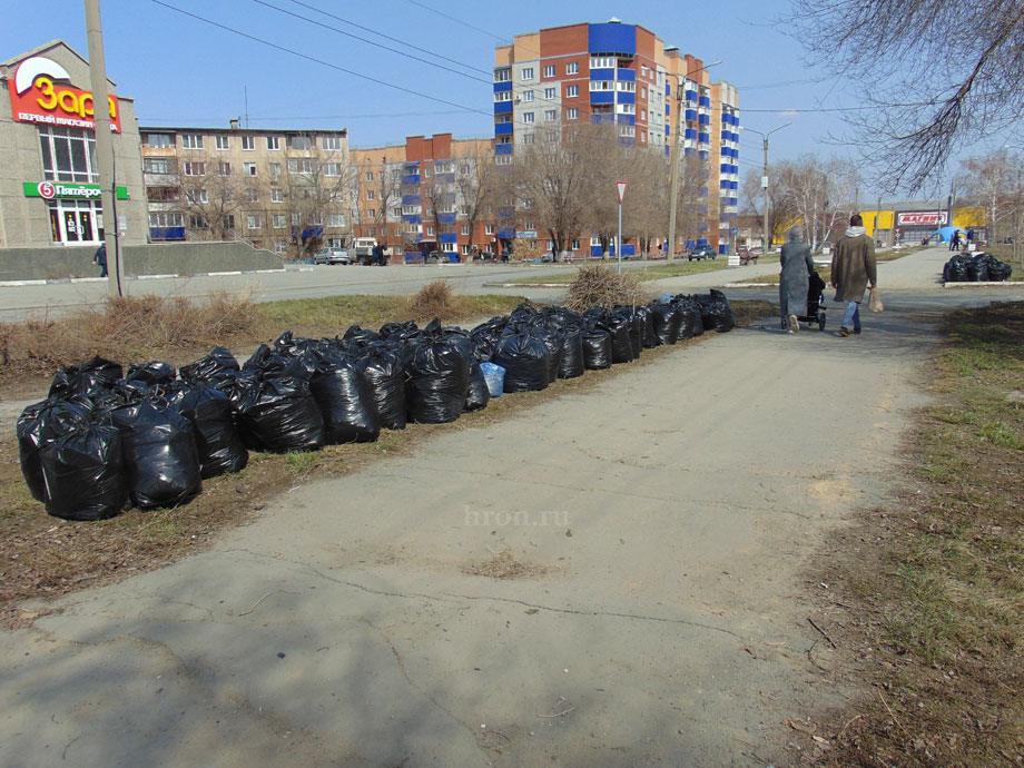 Привести бульвар в порядок помогли студенты