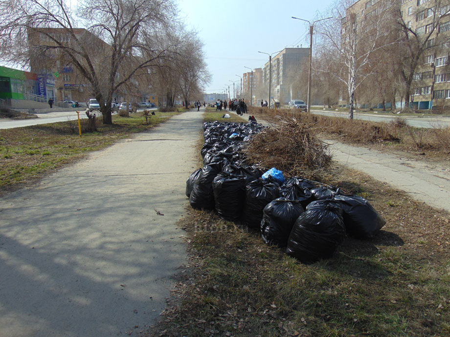 Привести бульвар в порядок помогли студенты