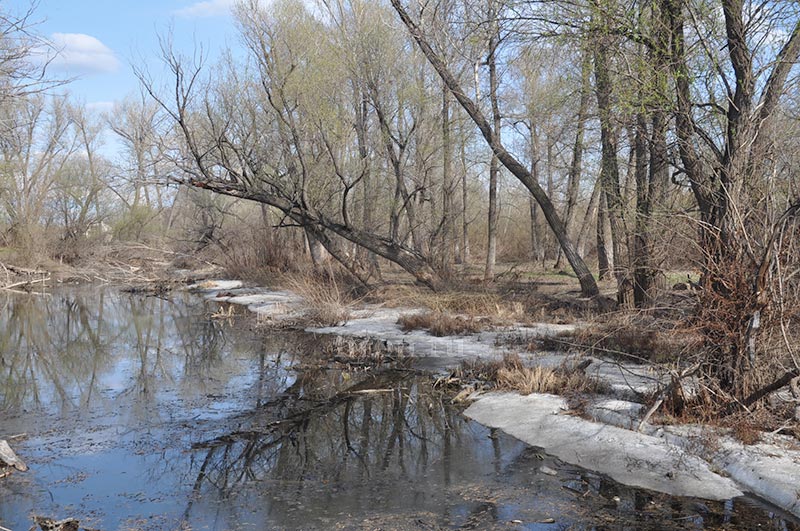 Дамбу сделают, но есть нюансы