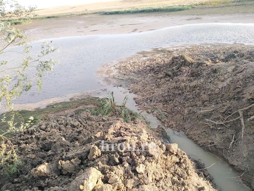 «ОХ» ищет спасителей Урала. Несколько водоемов в городе и близ него уже пострадали от незаконной деятельности