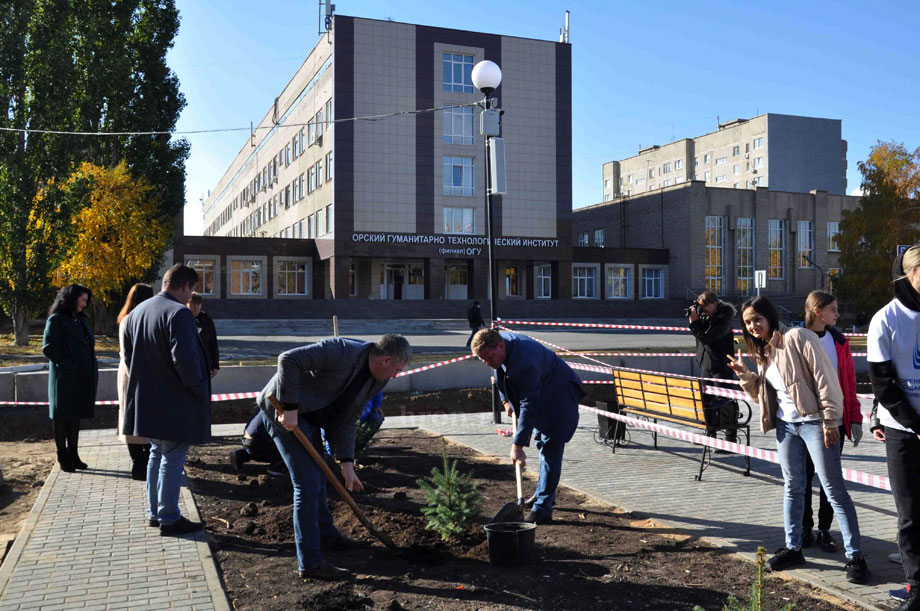 Возле ОГТИ появились голубые ели и каштаны