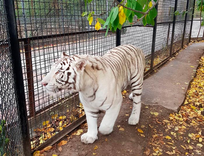 Крым будто маленький Советский Союз