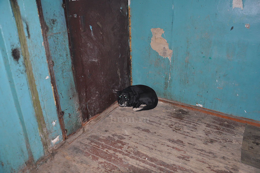 Коммунальный апокалипсис. Жители многоэтажки остались без горячей воды