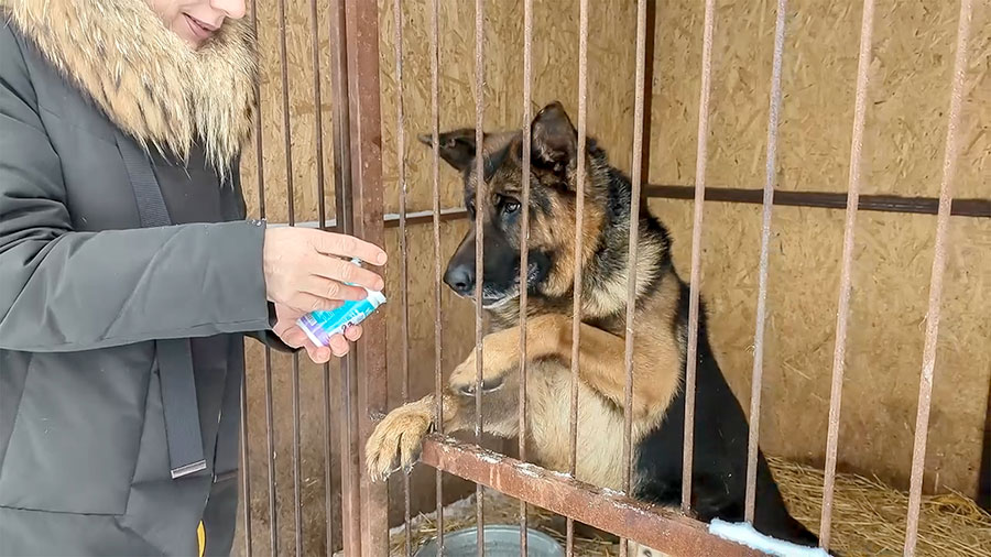 Как аристократ дом нашел