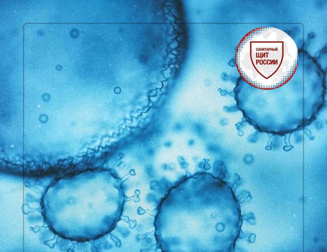 Тот самый вирус, о котором вы не слышали, но точно болели
