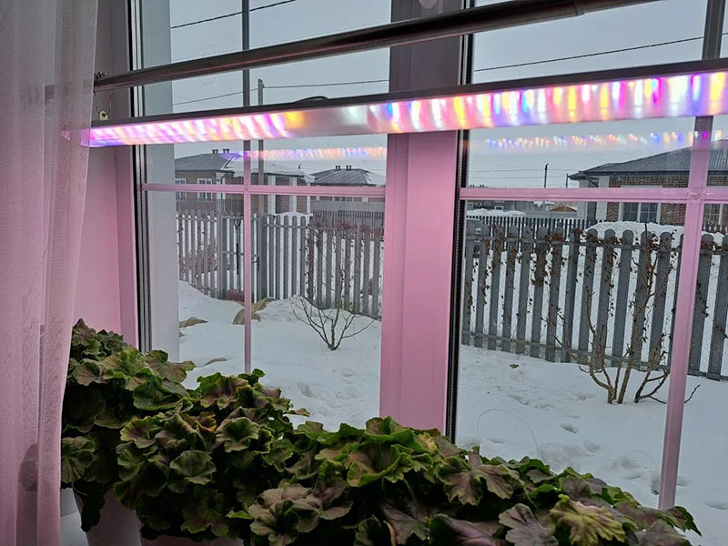 Любовь земная. Непотопляемые орчане начали все с нуля