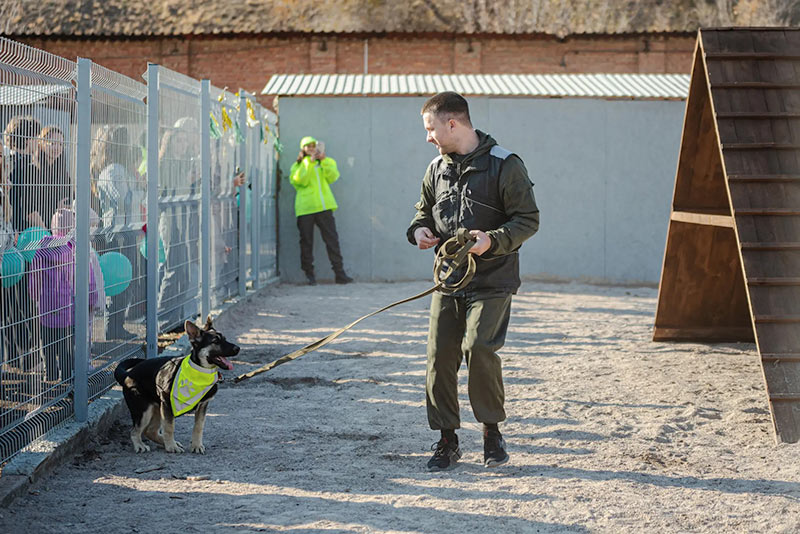 Собачье сердце, или Как бороться с лаем и непослушанием?