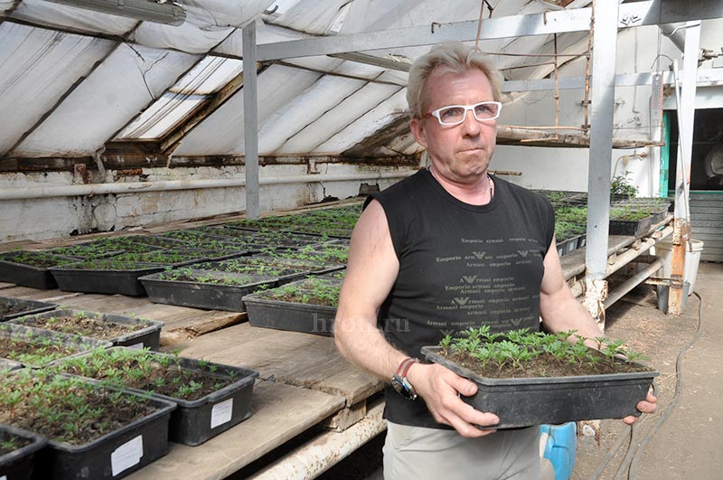 Дают зеленый свет. На предприятии с большой историей началась новая жизнь