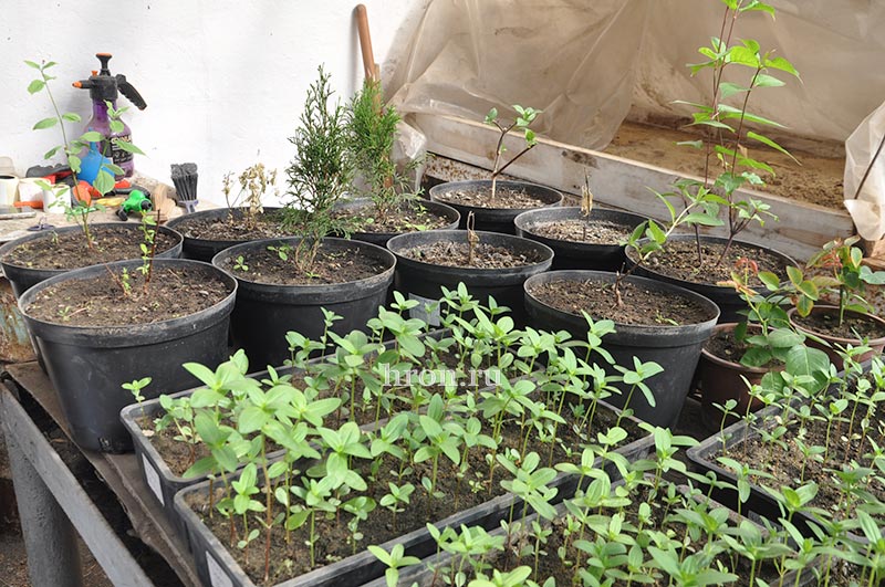 Дают зеленый свет. На предприятии с большой историей началась новая жизнь