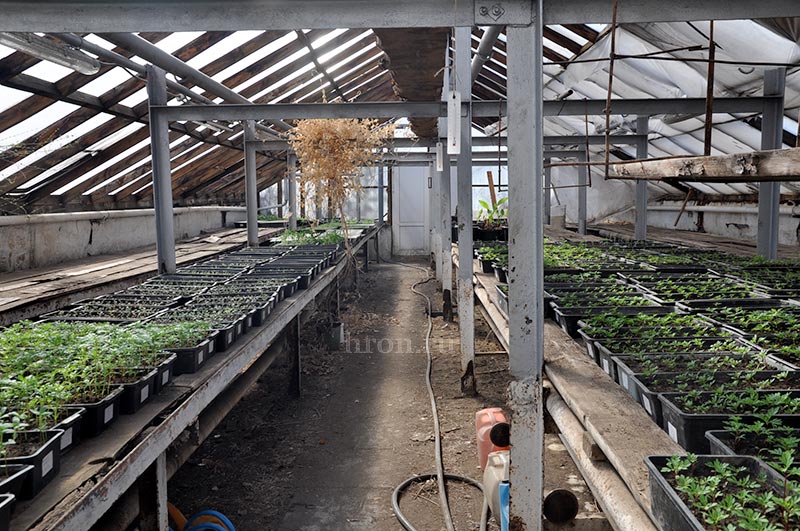 Дают зеленый свет. На предприятии с большой историей началась новая жизнь