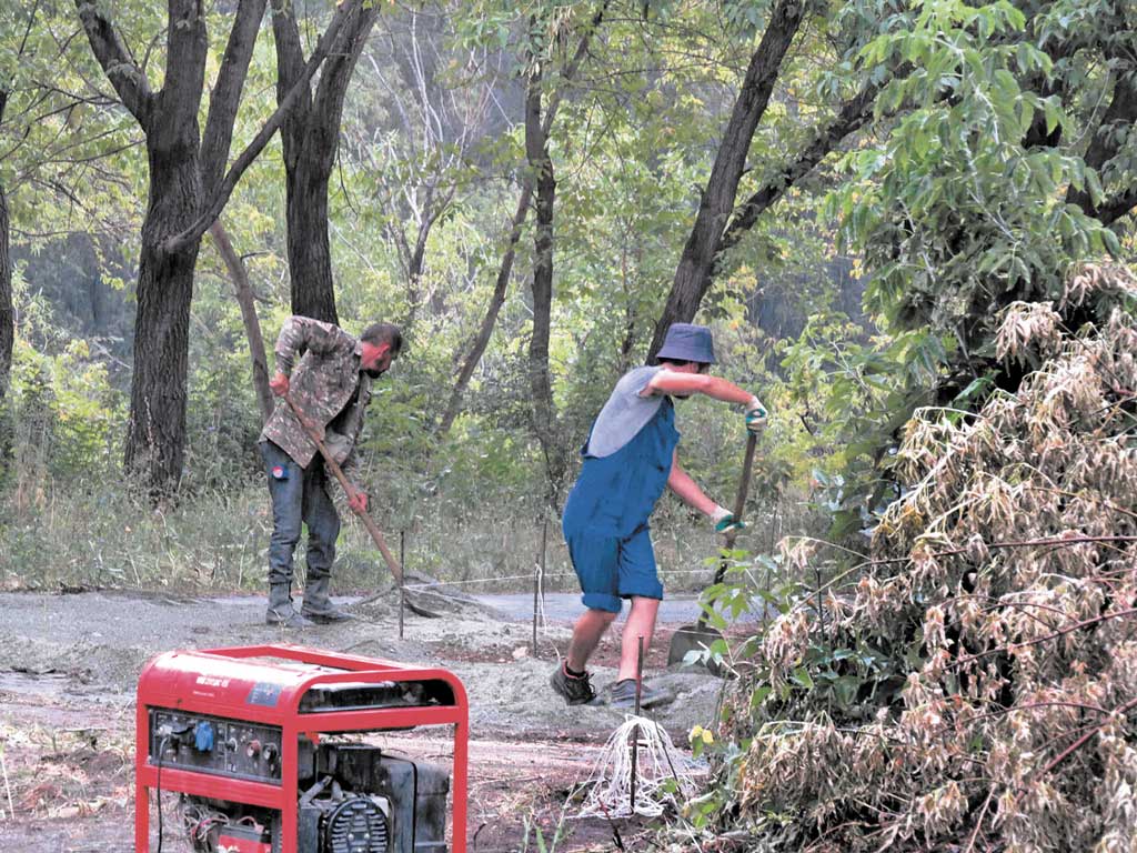 Куда приведет парковая дорожка? Знакомое горожанам место преображается