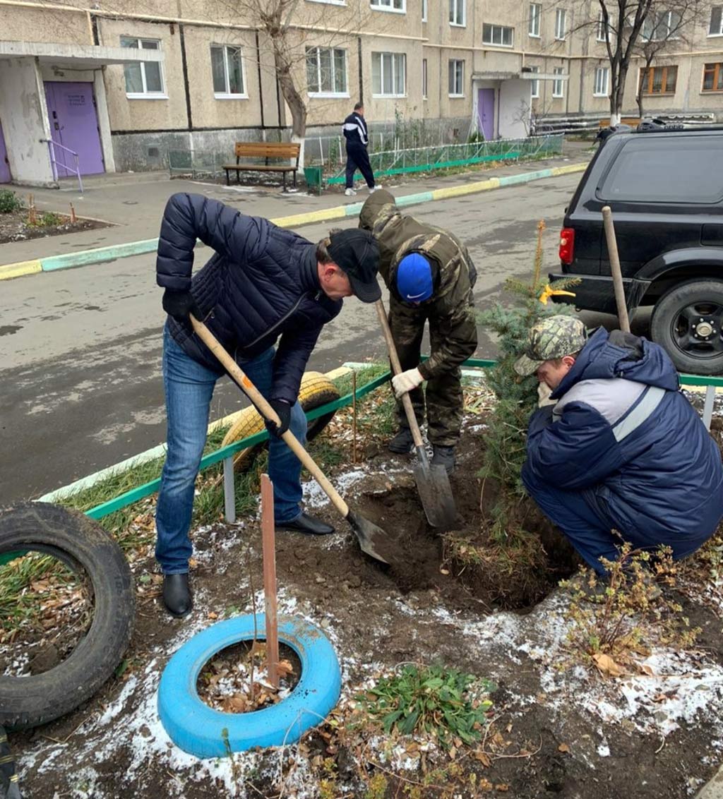 Двор украсили ели и березки