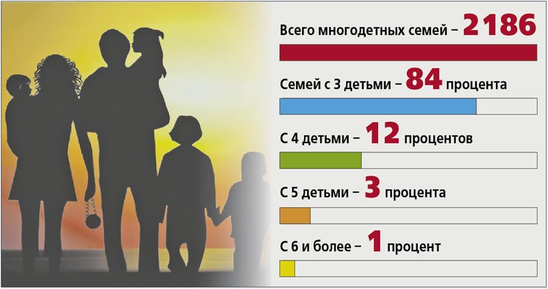 Многодетные семьи данные. Статистика многодетных семей. Малодетные семьи статистика. Статистика многодетных семей в России. Статистика по многодетным семьям в России.