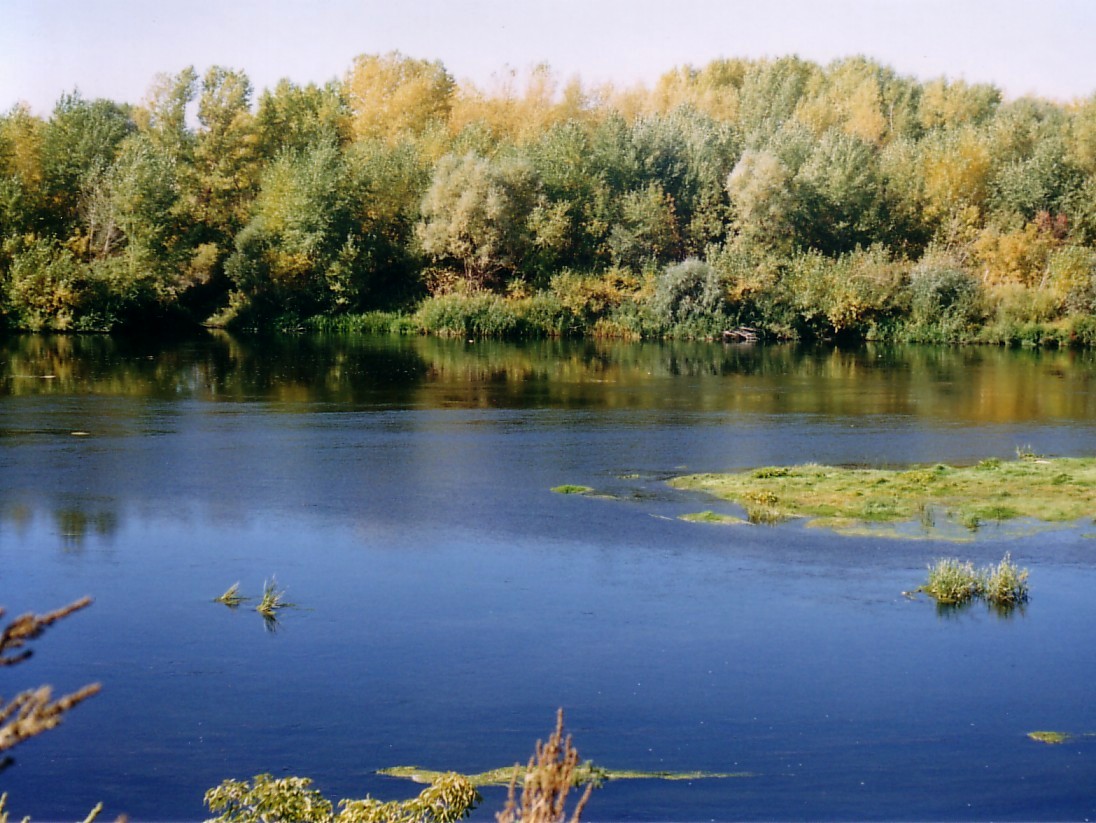 Уровень воды в Урале продолжает падать
