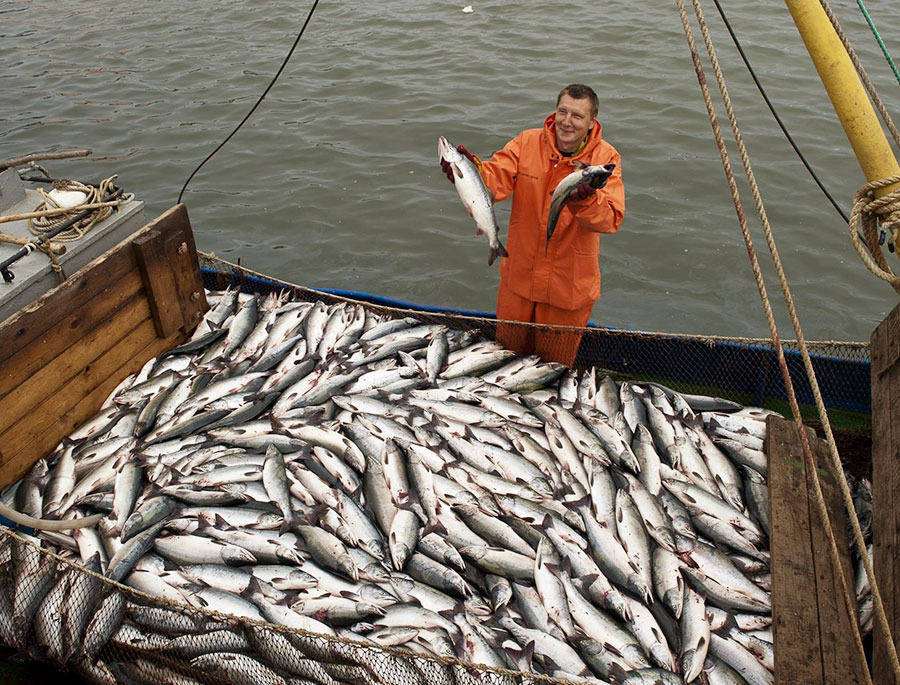 Промышленному рыболовству – новые обязательства