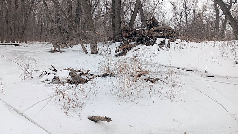 За иском иск. Работы по расчистке реки обернулись миллионными штрафами