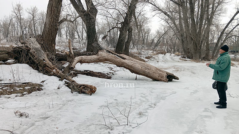 За иском иск. Работы по расчистке реки обернулись миллионными штрафами