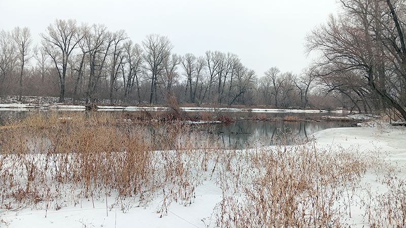 За иском иск. Работы по расчистке реки обернулись миллионными штрафами