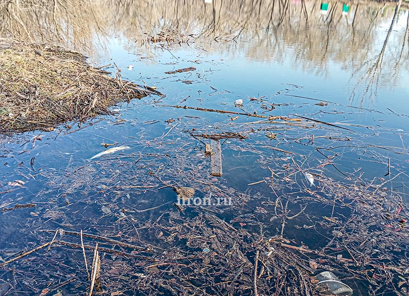 Пляж плюс, 28 деревьев минус