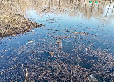 Пляж плюс, 28 деревьев минус