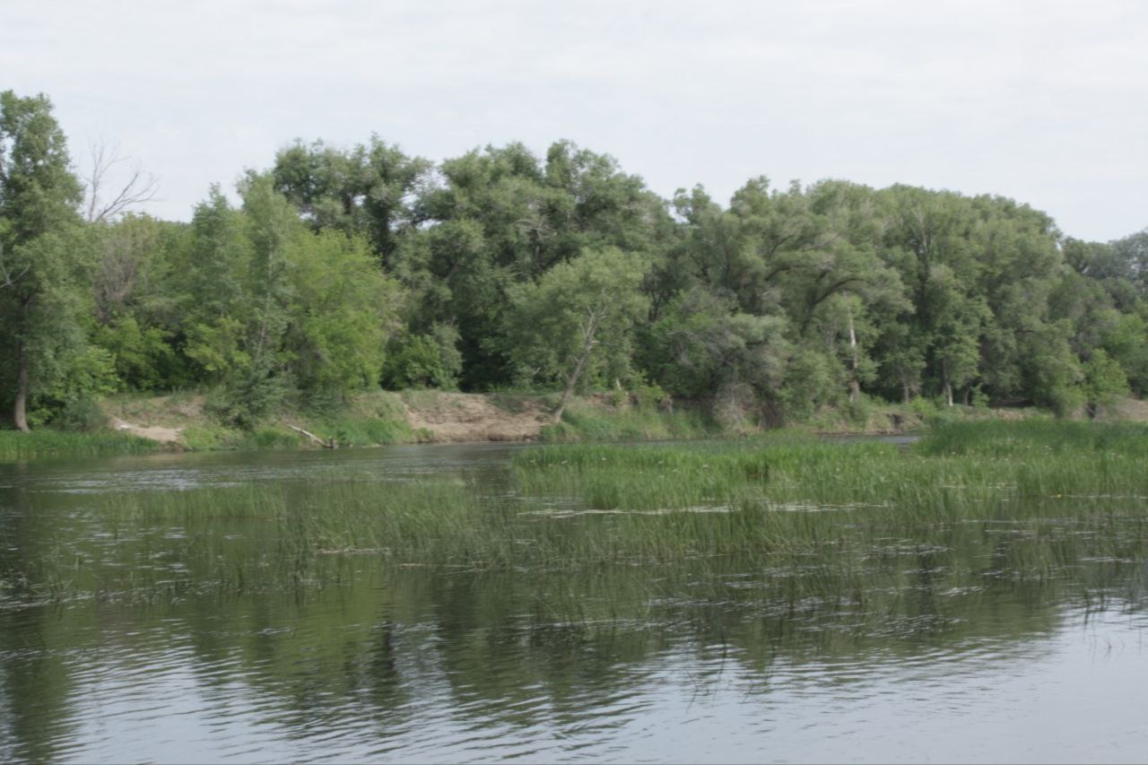 Уровень воды в Урале снизился еще на пять сантиметров