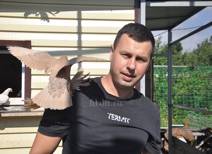 Влюблены в небо, верны дому