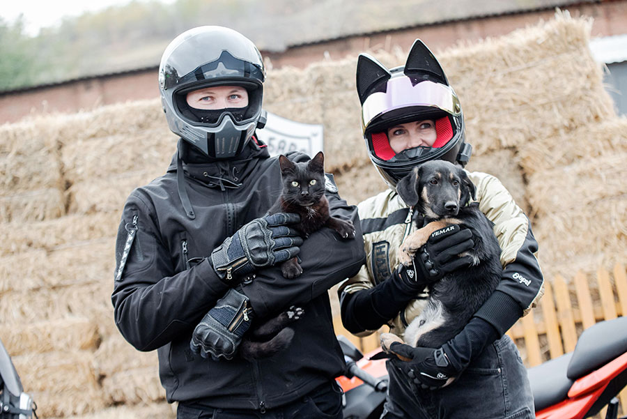 А вы видели собаку на байке?