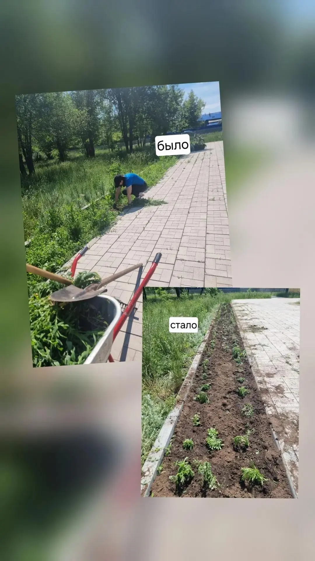 Цветы от сельчанок