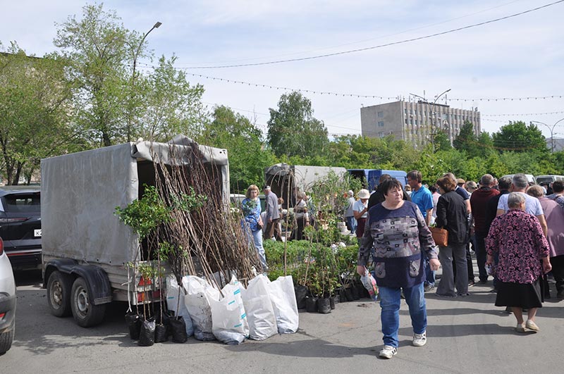 Как Гейша с Золотой рыбкой встретилась