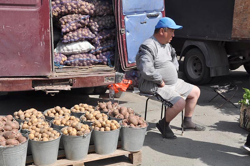 Как Гейша с Золотой рыбкой встретилась