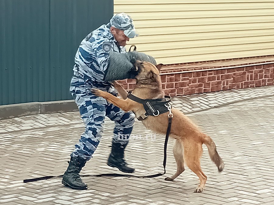 В «Старом городе» задержали «преступника»