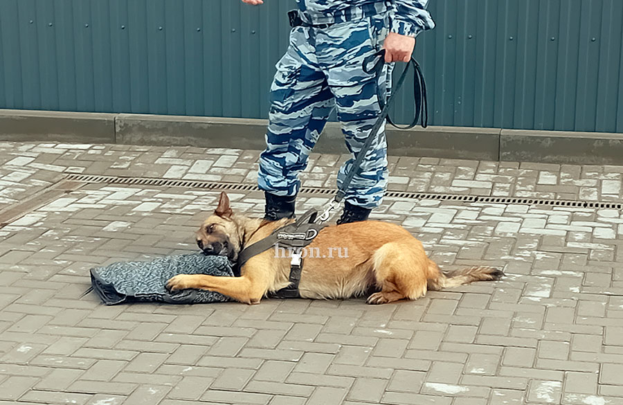 В «Старом городе» задержали «преступника»