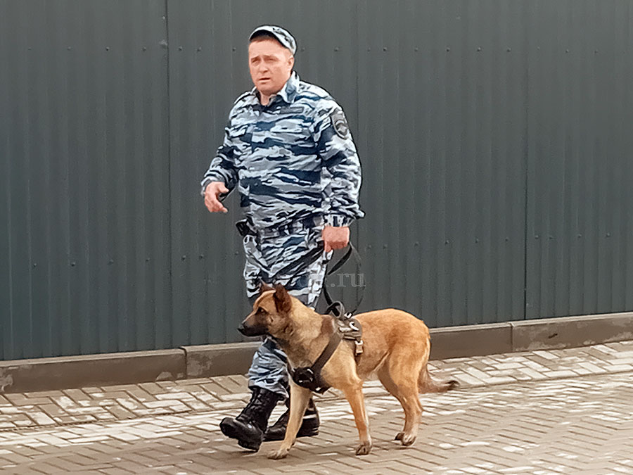 В «Старом городе» задержали «преступника»
