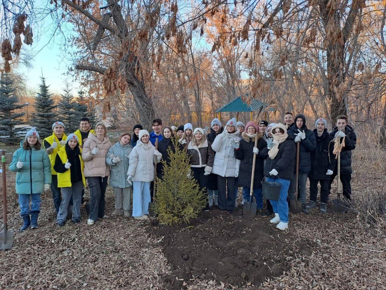 Зеленый рекорд - 1600 деревьев за год