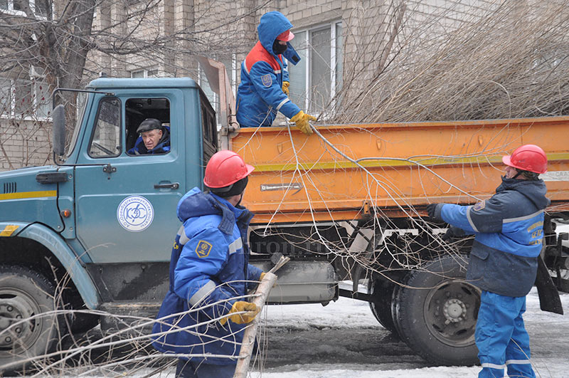 Чтобы ветер не наломал дров. О том, для чего энергетики заблаговременно проводят опиловку