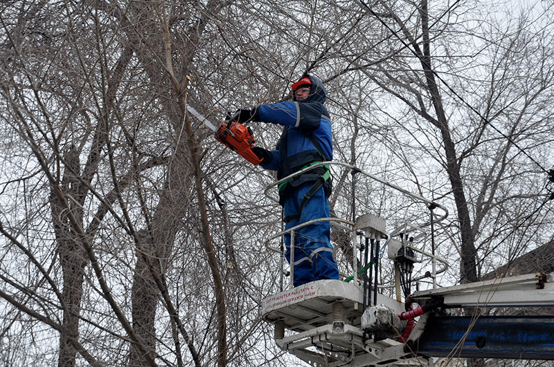 Чтобы ветер не наломал дров. О том, для чего энергетики заблаговременно проводят опиловку