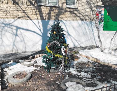 Новый год – круглый год