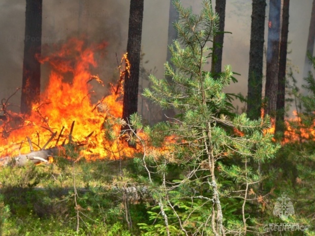 В Оренбургской области начался пожароопасный сезон
