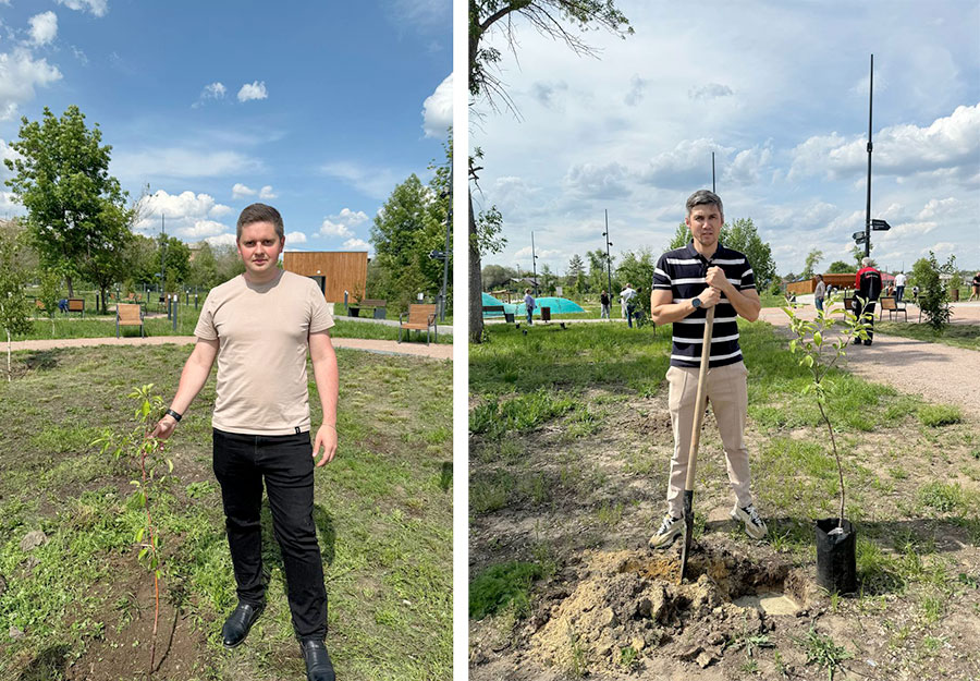 В Старом городе разбили яблоневый сад