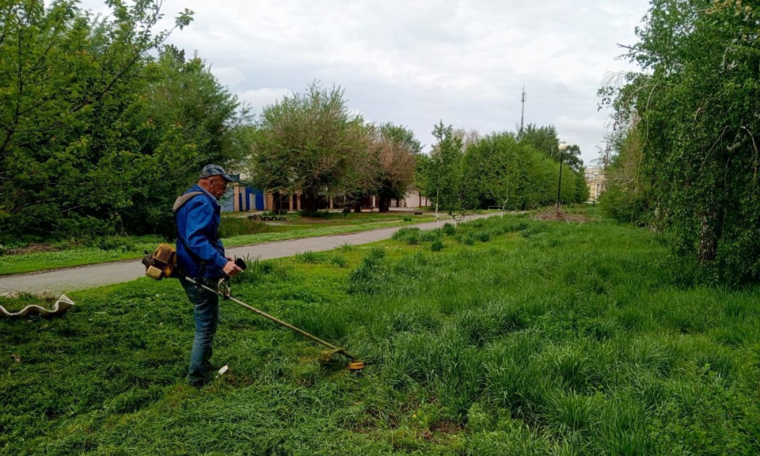 Выкос сорняка идёт полным ходом