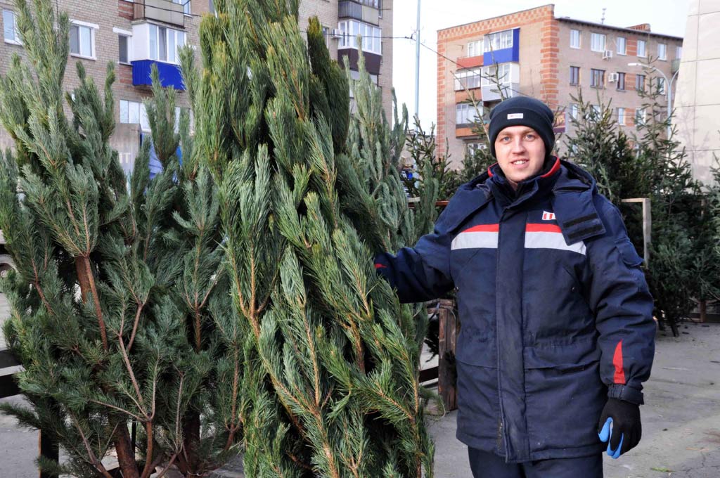 Городские пятачки нарядились в хвою