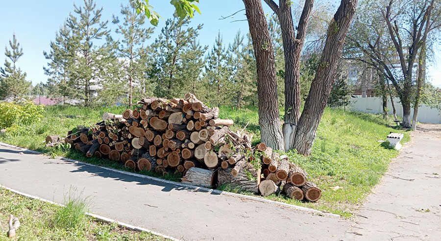Рубить нельзя сохранить