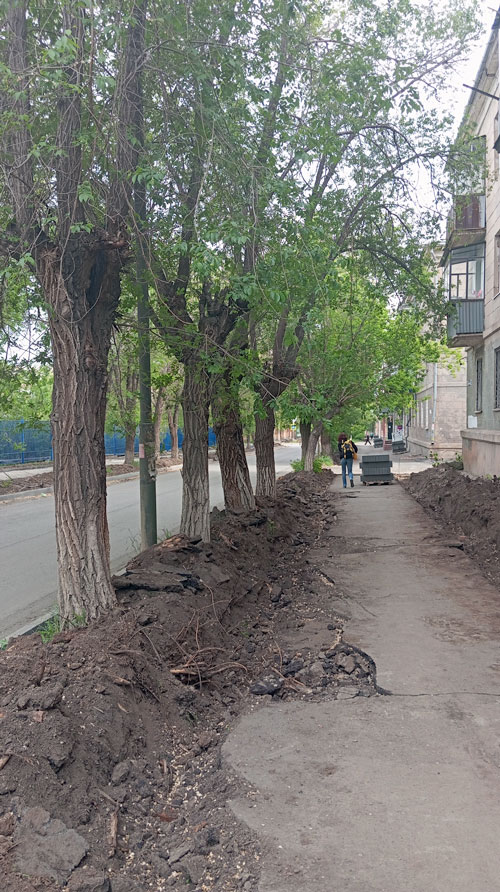 Рубить нельзя сохранить