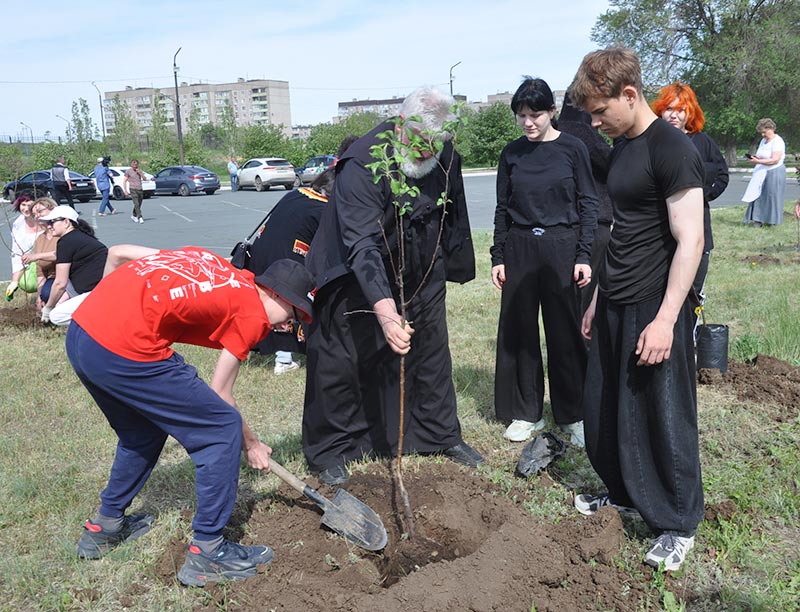 Деревья дружбы – парку