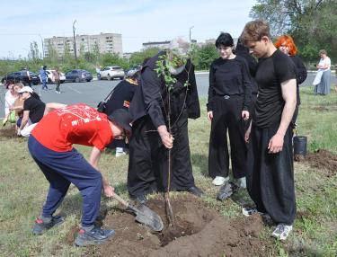 Деревья дружбы – парку