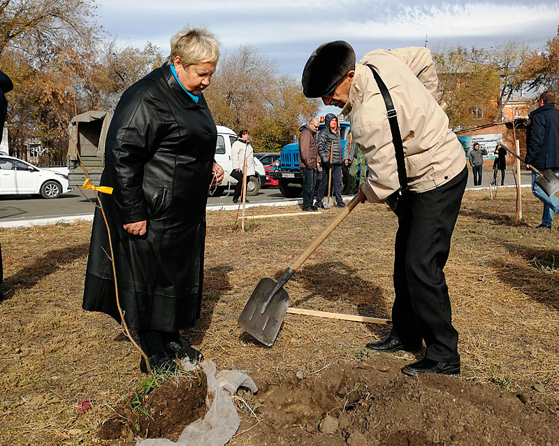 «Золотые» пары посадили рябины. Аллея создавалась трудом и теплом многих орчан