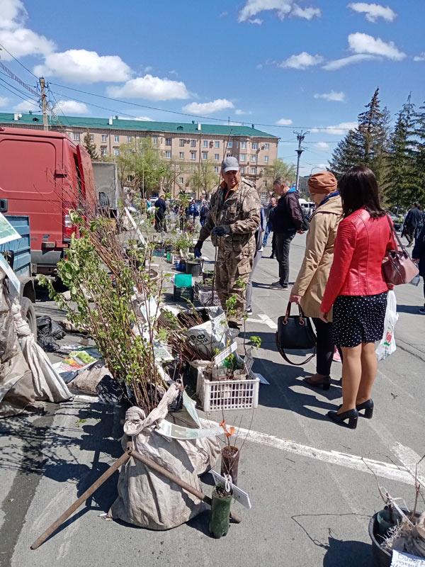 Будем выращивать грецкий орех и фундук