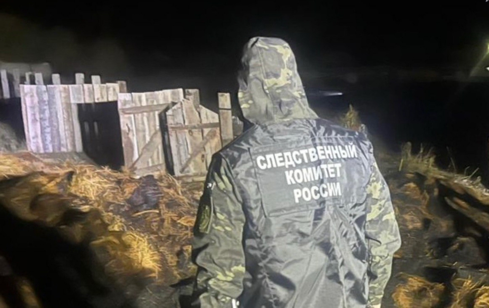 Двое детей сгорели в стоге сена