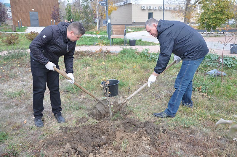 Дали дуба. В саду Шевченко появились новые деревья