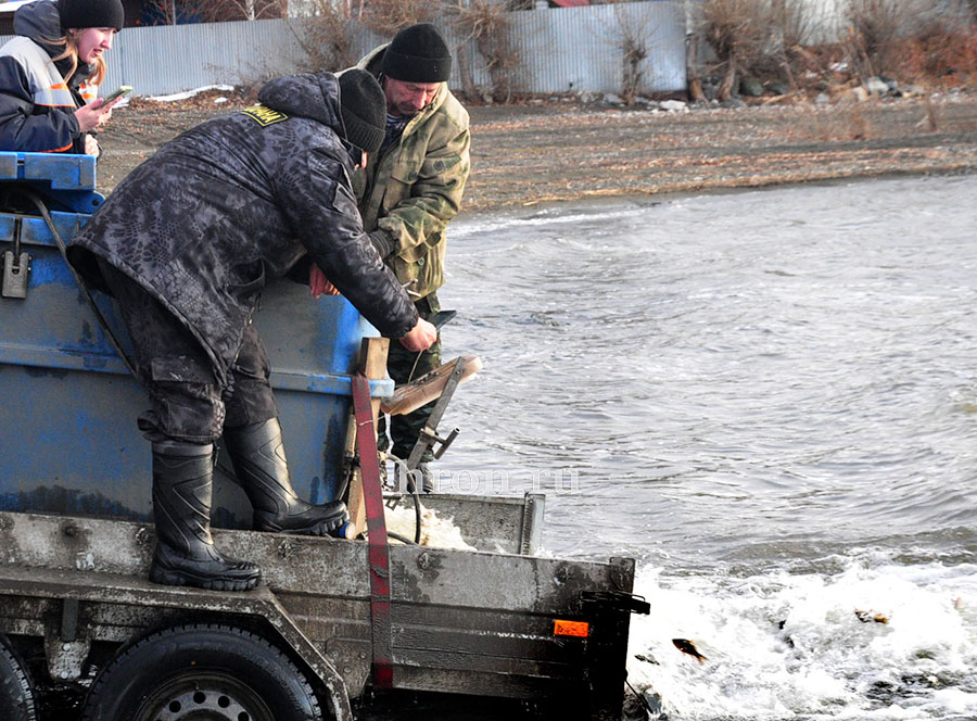 «Санитары» помогут водохранилищу